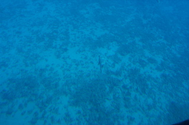 DCP_4173